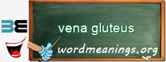 WordMeaning blackboard for vena gluteus